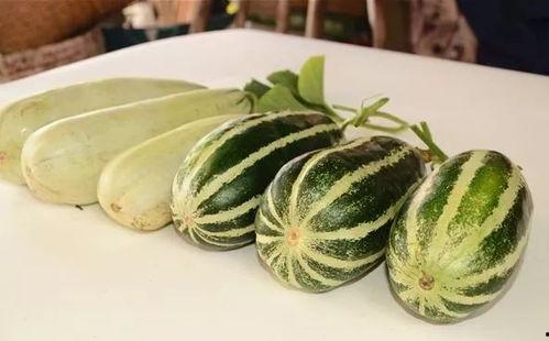 有名的吃瓜视频网红,揭秘吃瓜视频网红的爆红之路