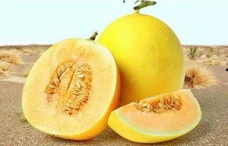 166su.吃瓜网,揭秘娱乐圈幕后故事，带你领略明星真实生活