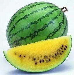 51吃瓜官网全网最新,揭秘全网最新热点事件，带你领略吃瓜界的风云变幻