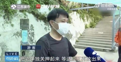 网红吃瓜被老板打了,一场网络风波背后的真相