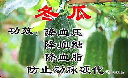 吃瓜网今日大寒