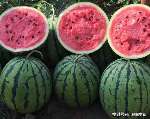 吃瓜网官网免费观看