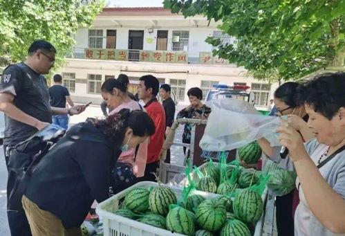 泗阳网红街吃瓜群众事件,一场网络舆论的风暴与反思