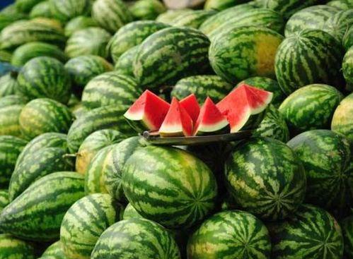 吃瓜网红套餐是真的吗还是假的,吃瓜网红套餐，真伪难辨，真相大起底！