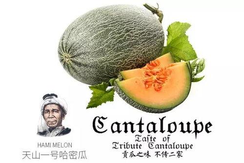 吃瓜网红拍照神器推荐,吃瓜群众必备的拍照利器推荐