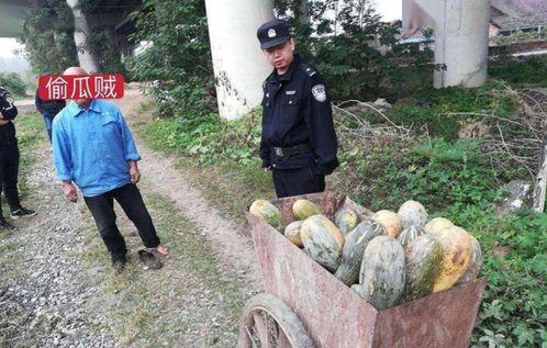 永年网红吃瓜事件,揭秘网络舆论背后的真相与争议