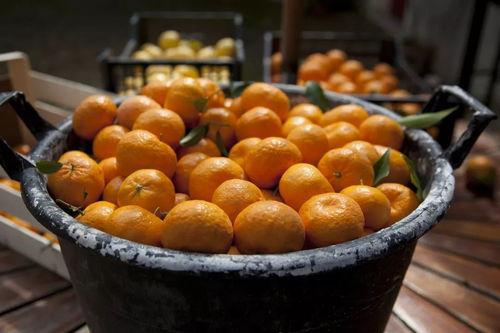 抖音网红吃瓜大集合,揭秘热门事件背后的真相