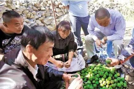 徽县吃瓜网红事件始末,网络舆论漩涡中的真相探寻