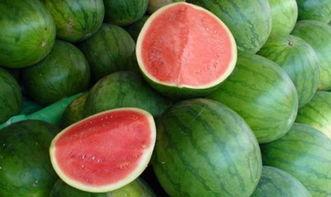 五六吃瓜网,五六吃瓜网带你领略吃瓜界的风云变幻