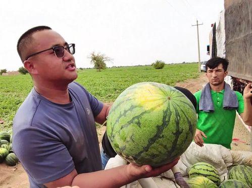 五六吃瓜网,五六吃瓜网带你领略吃瓜界的风云变幻