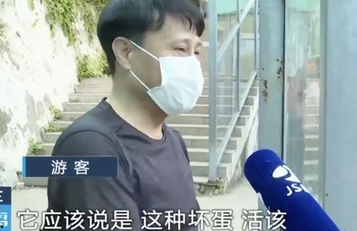 网红吃瓜兄妹是谁