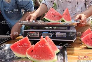 山东微山县吃网袜瓜,网袜瓜的独特风味之旅