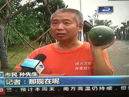 热门吃瓜事件网红,揭秘网络红人的“瓜田”风云