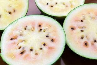 厦门网红吃瓜事件真相是真的吗,真相揭秘，还原事件始末