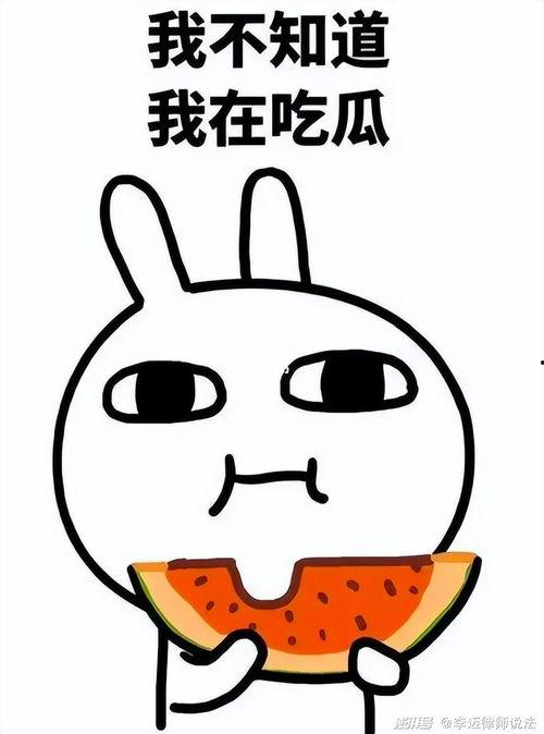 长青大学熊猫duck瓜吃瓜网,揭秘吃瓜网背后的故事