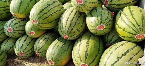 吃瓜网现在怎么进不去了呢