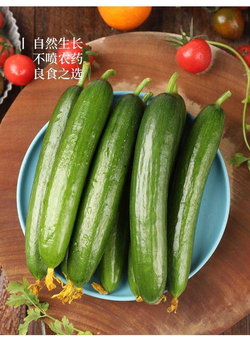 小瓜吃料网入口最新