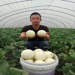 小瓜吃料网入口最新