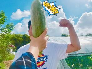 吃瓜被爆的网红是谁