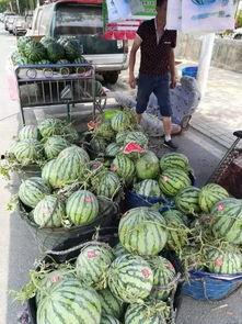 务川网红吃瓜事件