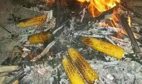 务川网红吃瓜事件