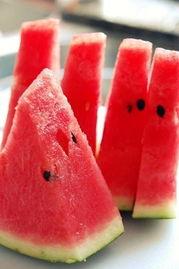 com.缅甸吃瓜网,揭秘“吃瓜网”背后的文化盛宴