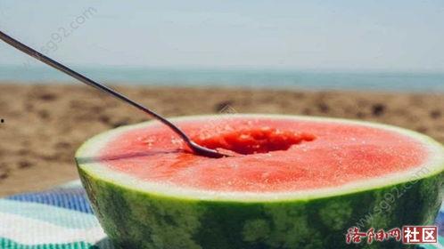 com.缅甸吃瓜网,揭秘“吃瓜网”背后的文化盛宴