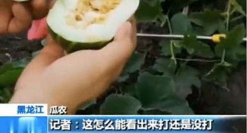 界首网红吃瓜视频曝光,揭秘界首热门事件背后真相