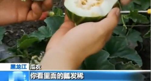 界首网红吃瓜视频曝光,揭秘界首热门事件背后真相