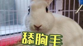 抖音以前的网红吃瓜事件