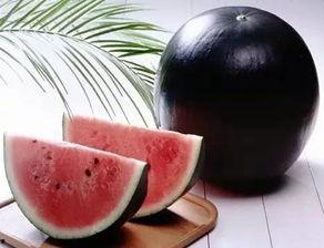 黑瓜吃料网的功能介绍,一站式食材采购与信息服务平台