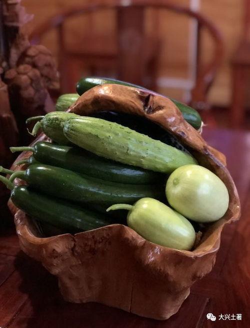 网红圈的瓜在哪吃