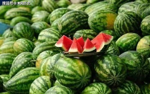 吃瓜网首页,揭秘娱乐圈最新热点，带你畅游八卦海洋