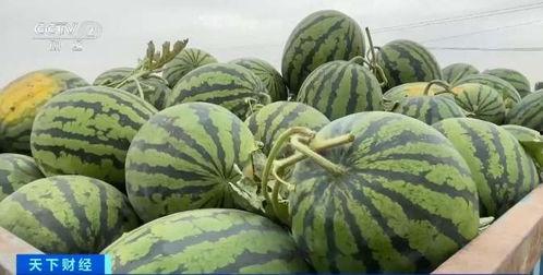 988.su吃瓜网,网络舆论场的新势力