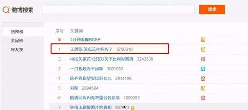 怎么吃网红的瓜公众号,如何轻松吃遍热门话题