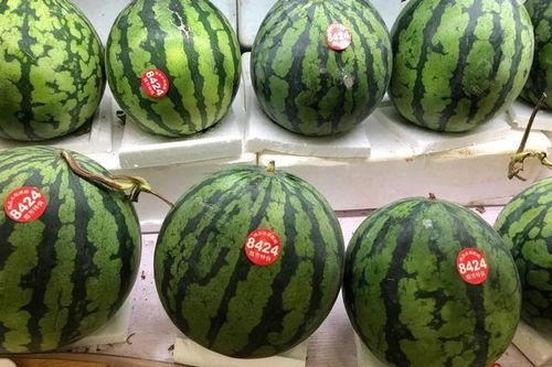 51吃瓜最新官网是多少