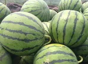 广艺网红吃瓜,揭秘娱乐圈幕后故事